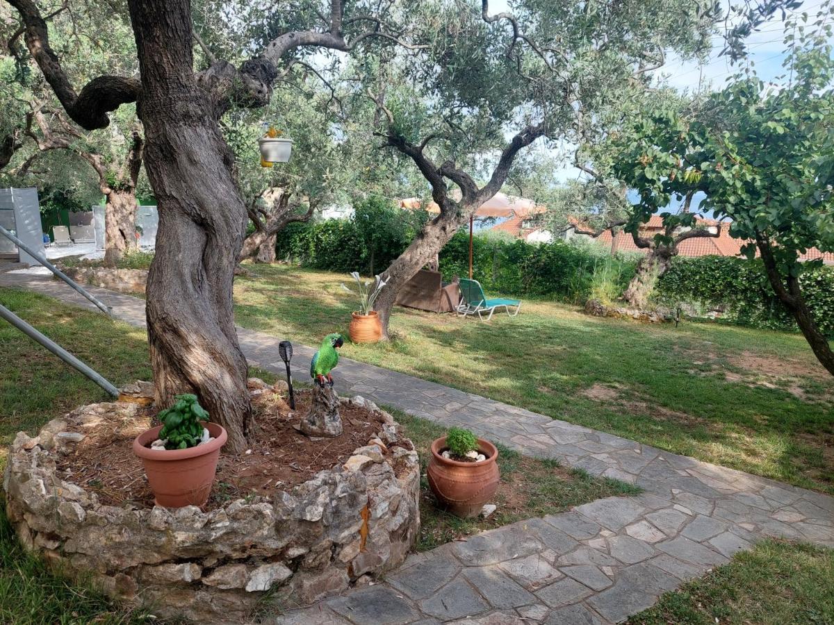 Nature Lovers-Golden Beach Chrysi Ammoudia Exterior photo
